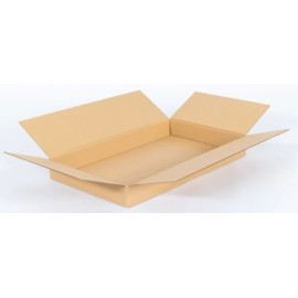 725x525x100 mm